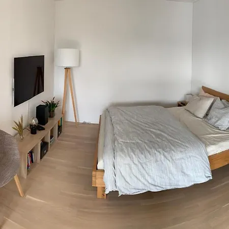 1 Bedroom Apt With Huge Balcony In Zúrich